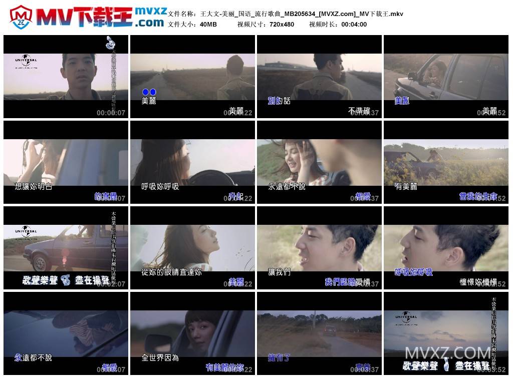 王大文-美丽_国语_流行歌曲_MB205634